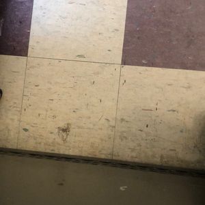 Meet your Posher, Elysse